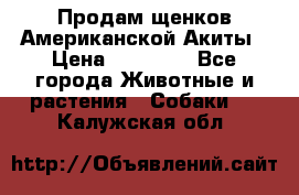 Продам щенков Американской Акиты › Цена ­ 25 000 - Все города Животные и растения » Собаки   . Калужская обл.